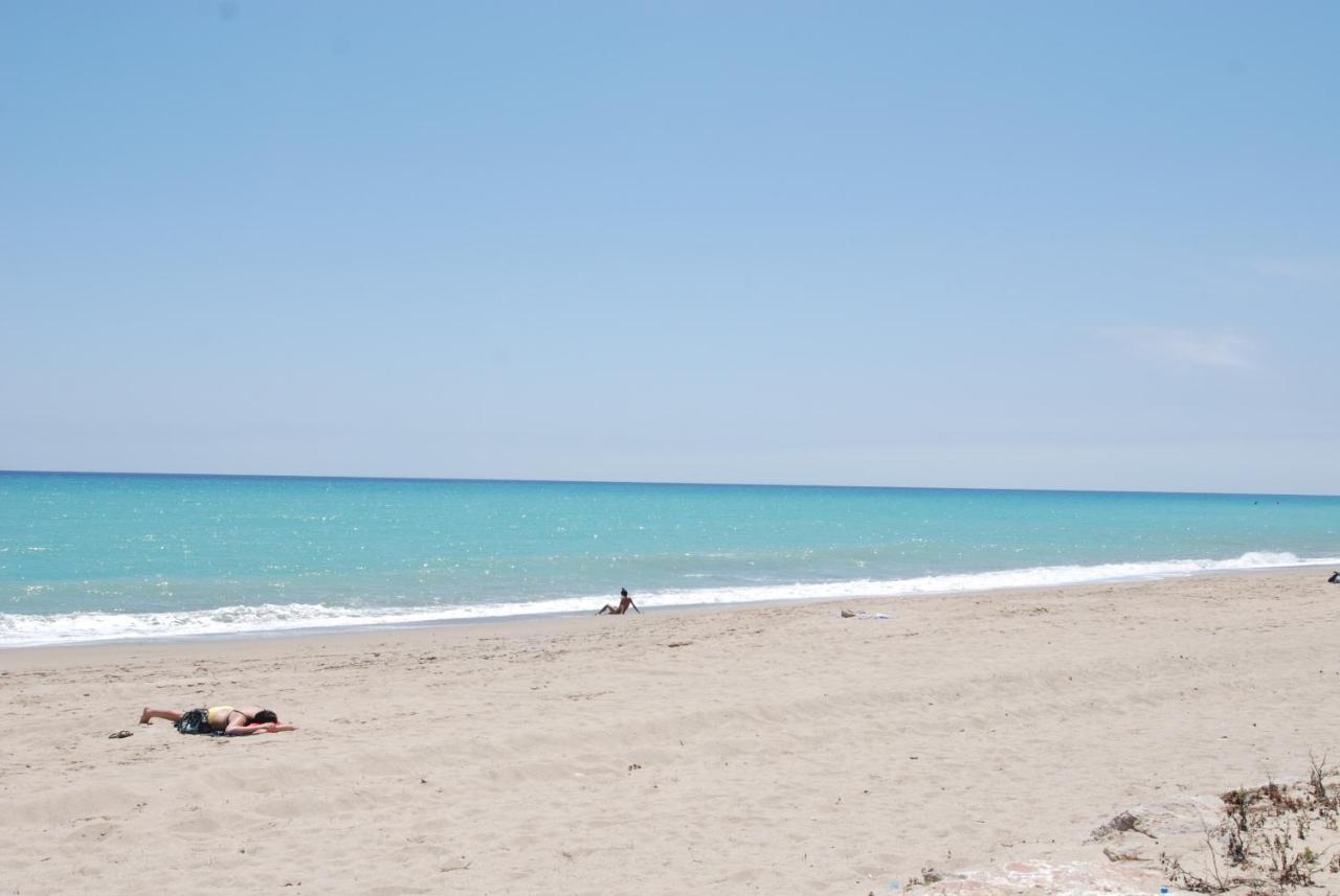 Zeus Guardamar Seaview Apartment Miami Playa Exterior photo